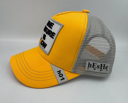 Orange & Grey (Genesis)